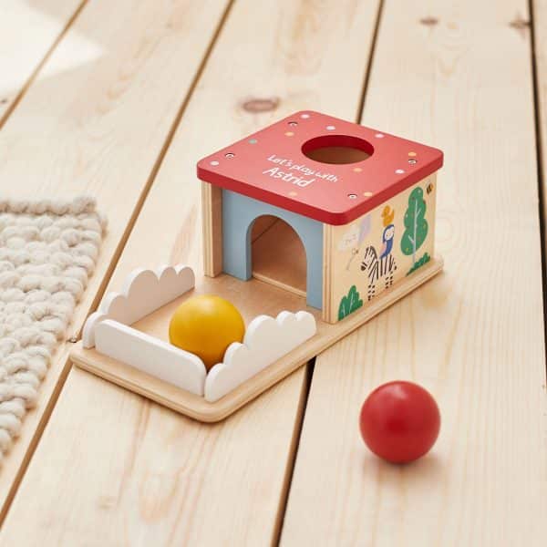 Personalised Wooden Drop Box Toy